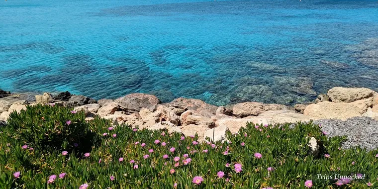 Turquoise water and white sand at Nissi Beach