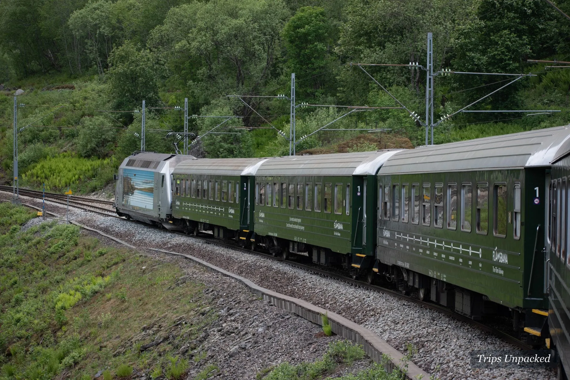 The green carriages of the Flåm Railway curving along the track through spring woodland.