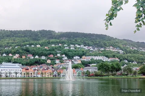 Bergen - a fountain in the city lake below colourful houses on a green hillside
