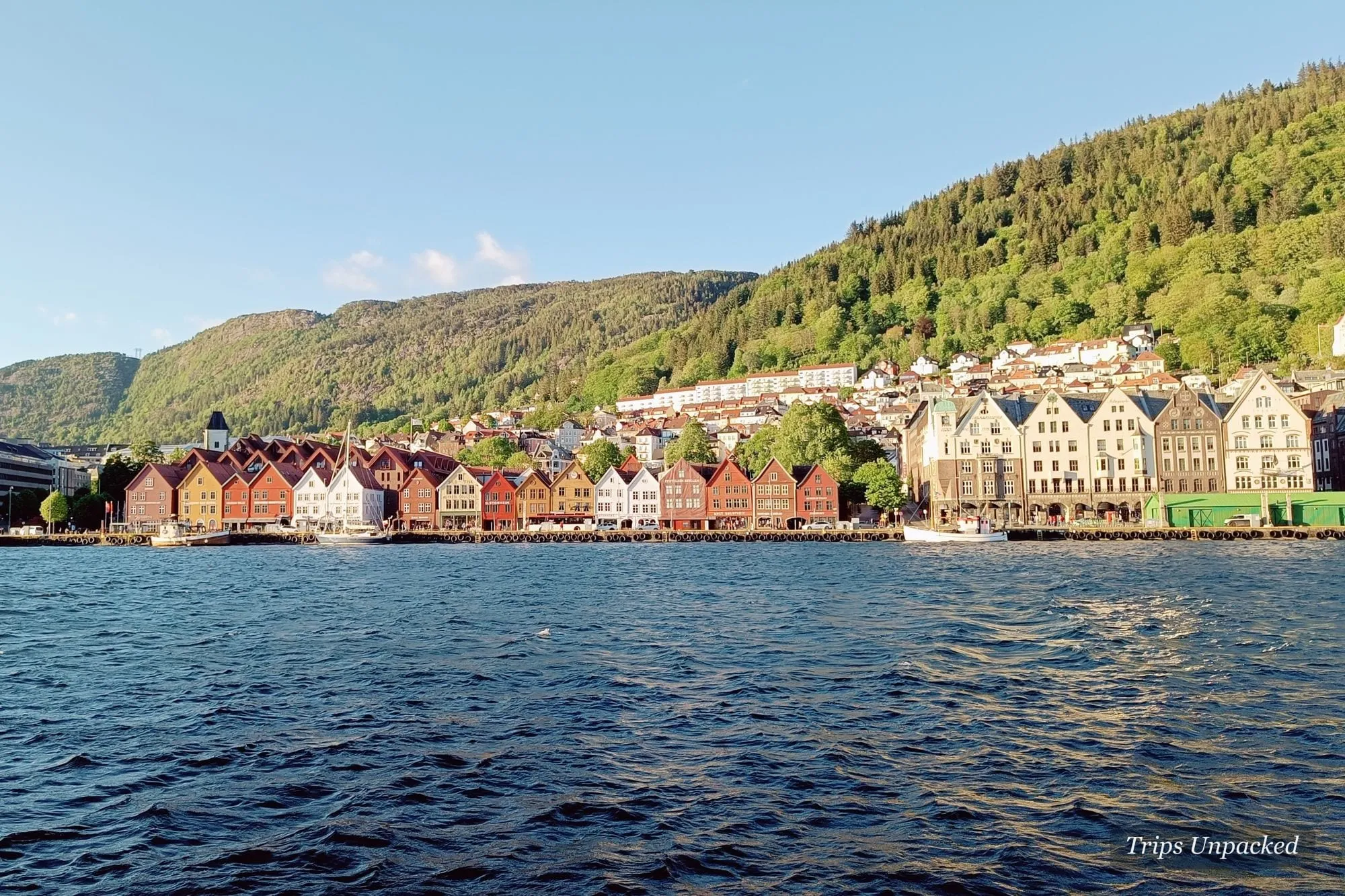 Bergen's Bryggen waterfront - a row of colourful Hanseatic houses below a forested hillside, seen from the harbour.