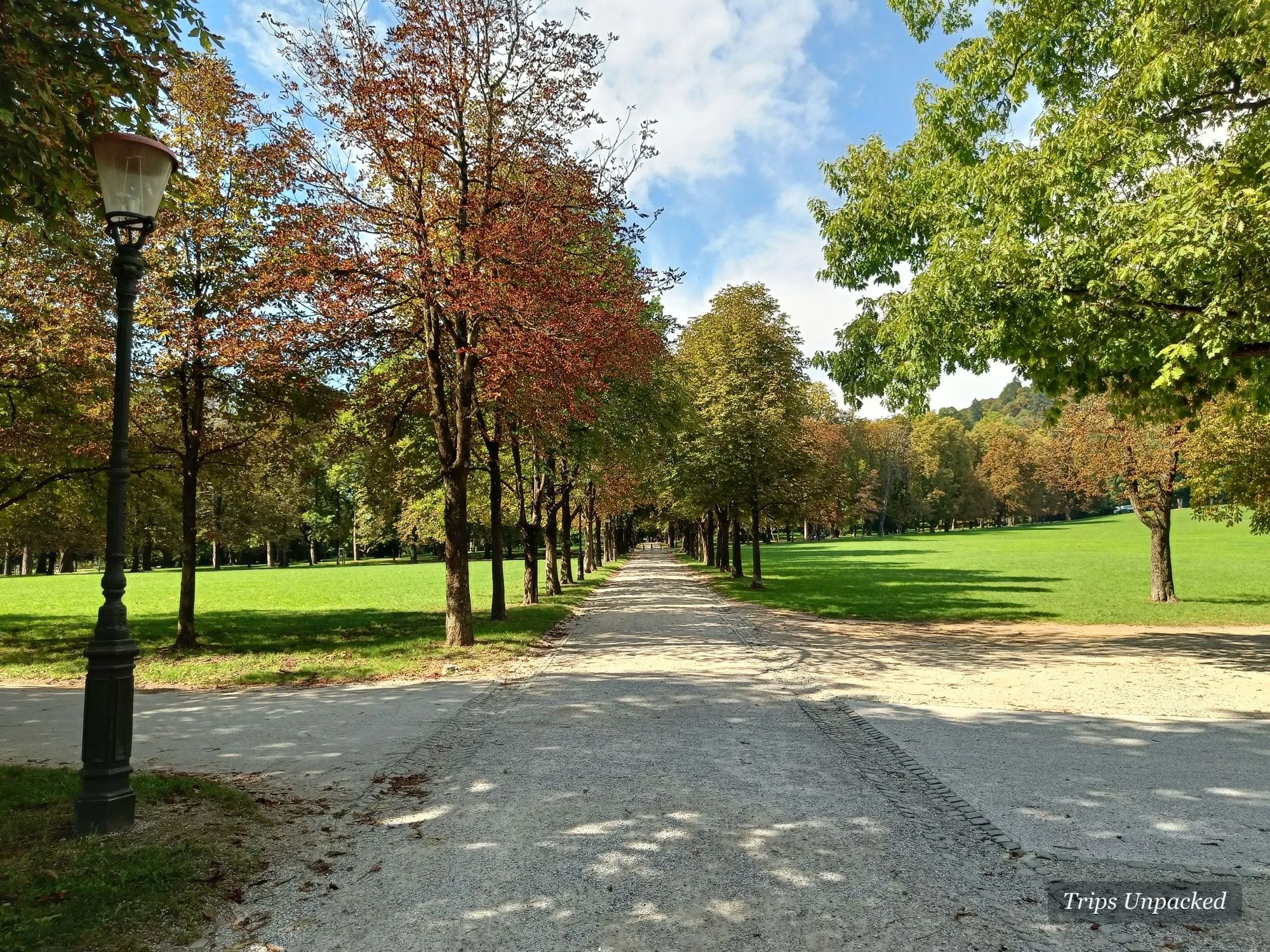 The tree-lined gravel avenue through Tivoli Park, turning to autumn colour.