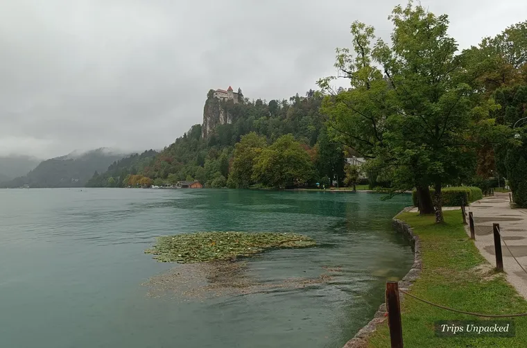 Bled Castle on its cliff above the lake, lily pads along the shoreline path.