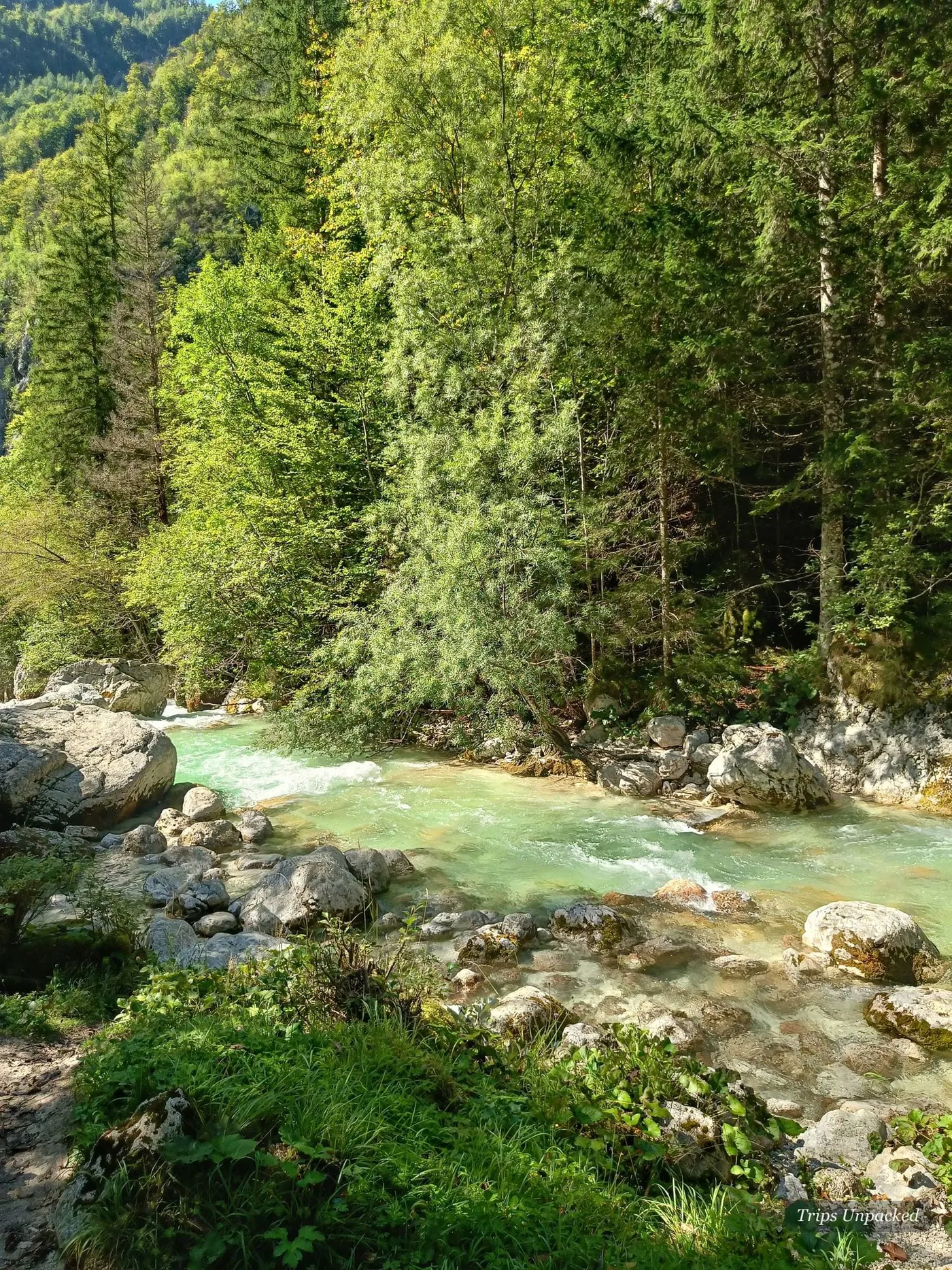 Clear water running over white rocks in the Soča valley.