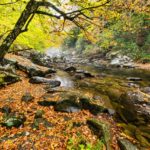 smoky mountains, brook, river-5149722.jpg